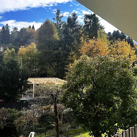 Wypoczynek Miedzy Swierkami