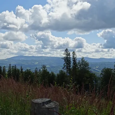 Wypoczynek Miedzy Swierkami