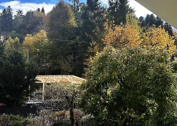 Wypoczynek Miedzy Swierkami